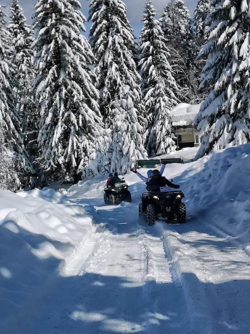 Vila Florilor Buşteni Exteriör bild