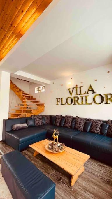 Vila Florilor Buşteni Exteriör bild